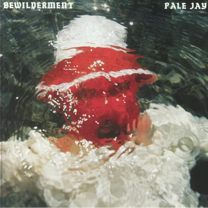 PALE JAY — Bewilderment