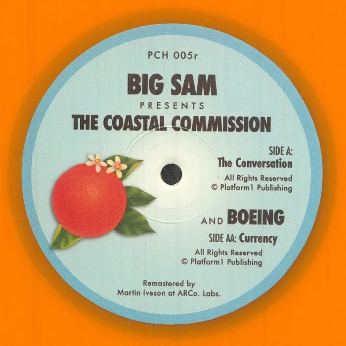 The Coastal Commission / Boing — The Conversation / Currency