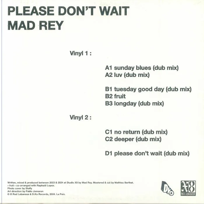 Back cover — MAD REY — Please Don't Wait
