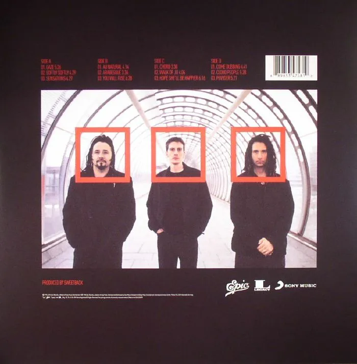 Back cover — SWEETBACK — Sweetback: 20th Anniversary Edition