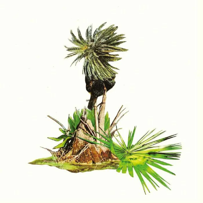 LAGOSS — Musica Para Platanos