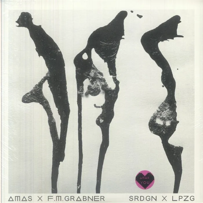 Front cover — AMAS / FM GRABNER — Srdgn X Lpzg