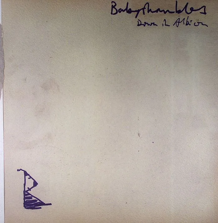 BABYSHAMBLES — Down In Albion