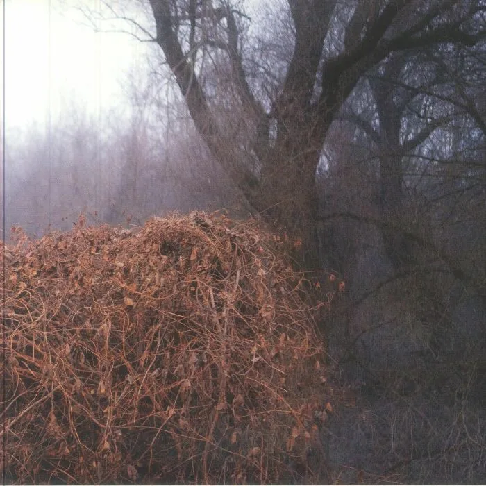 The DEVIL'S TRADE — Nincs Szennyezetlen Szep