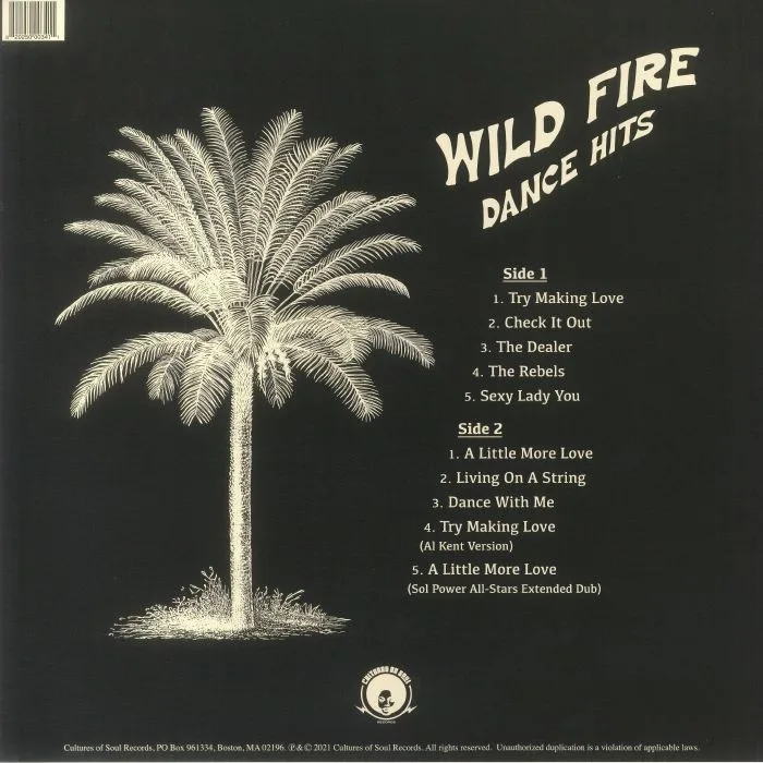 Обратная сторона обложки — WILD FIRE — Dance Hits