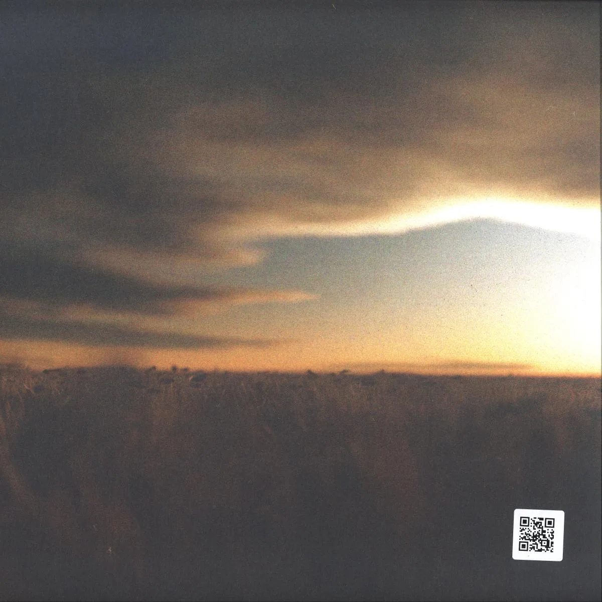 Back cover — nthng — There Is A Place For Me LP 2x12"
