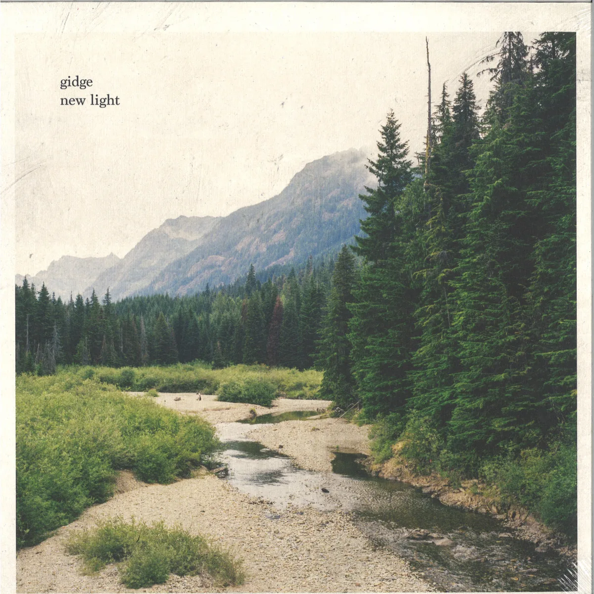 Gidge — New Light 2x12"