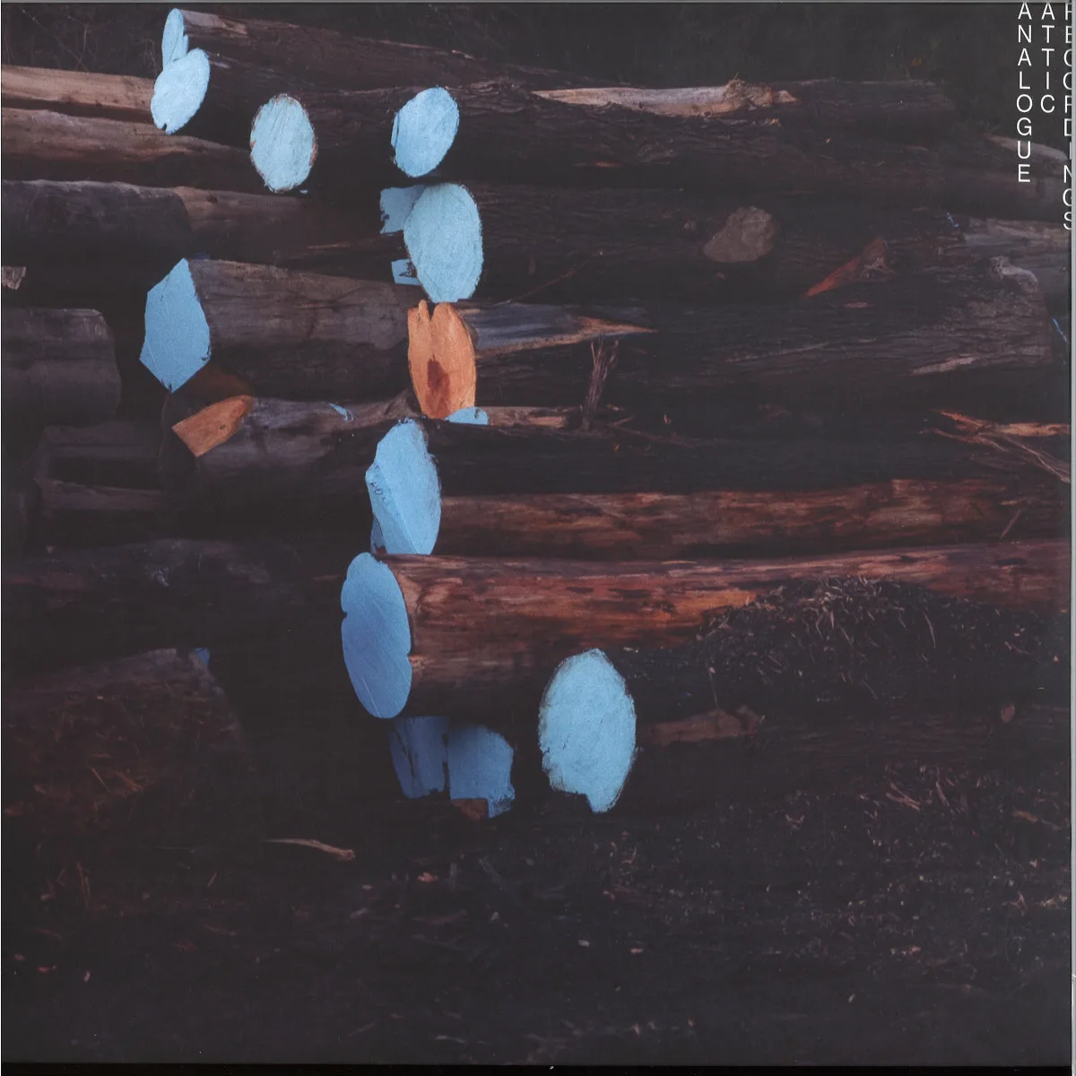 Alex Albrecht — COLES BRIDGE