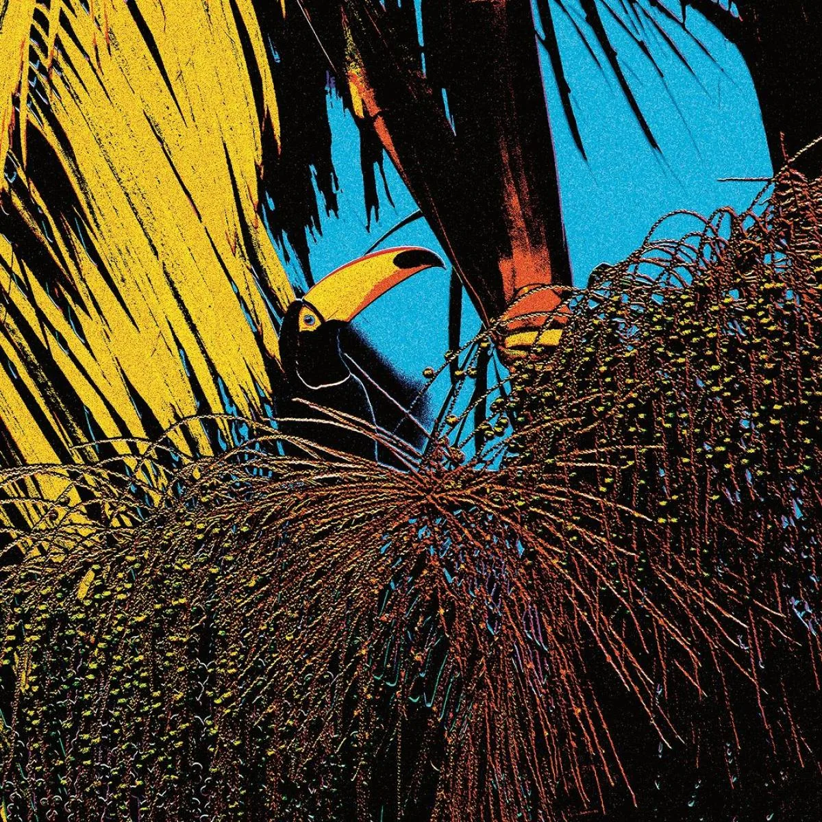 Joao Comazzi — Tucanaçai