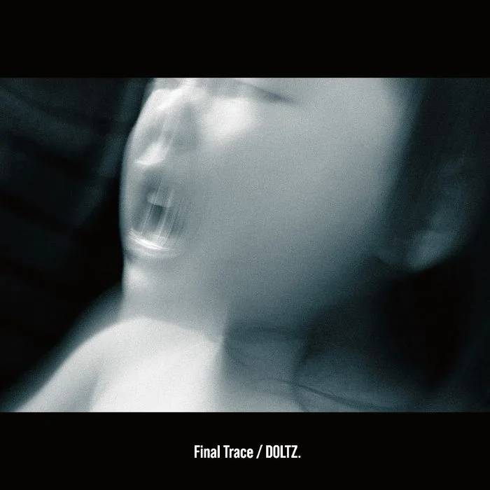 Лицевая сторона обложки — DOLTZ — Final Trace