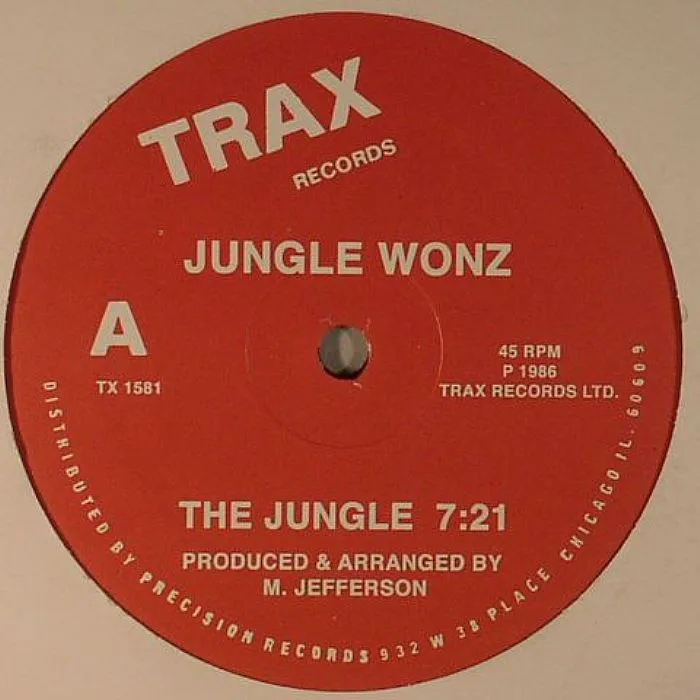 Лицевая сторона обложки — JUNGLE WONZ — The Jungle