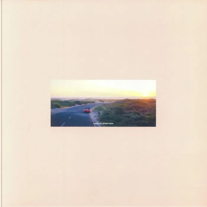 LLEWELLYN — Instant Crush