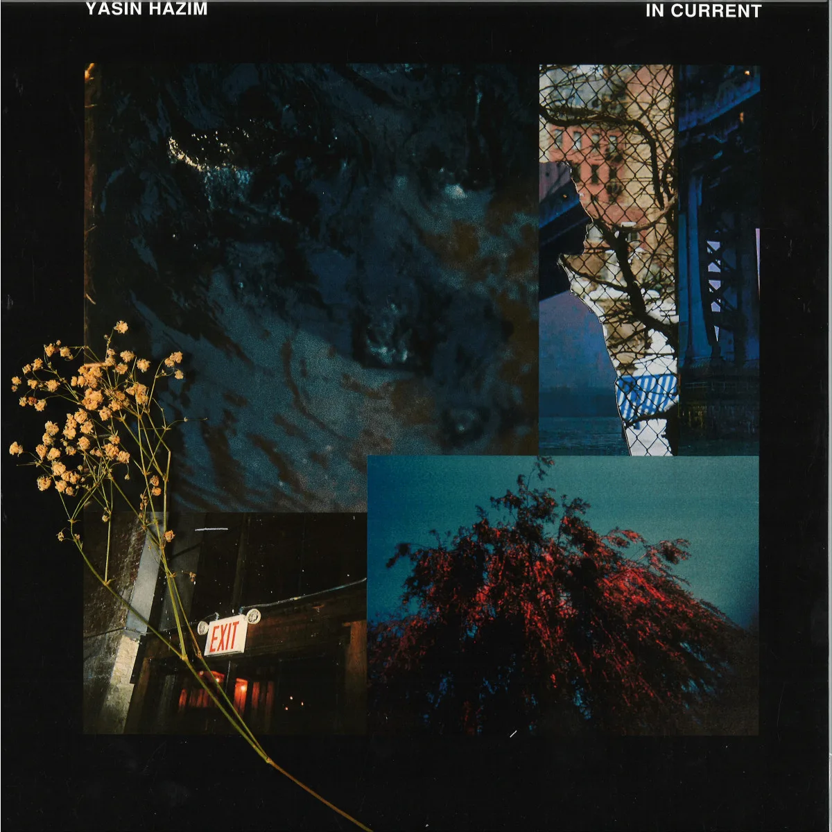 Yasin Hazim — IN CURRENT