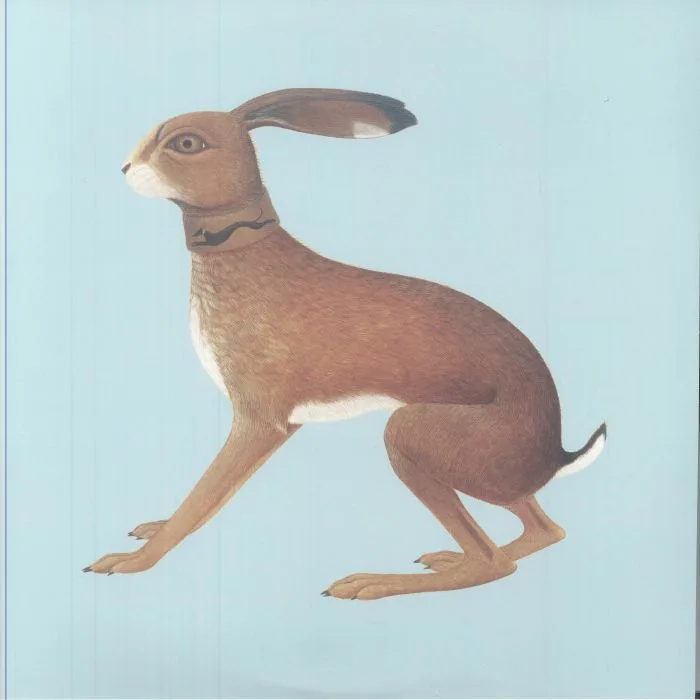 Vashti BUNYAN — Lookaftering (20th Anniversary Expanded Edition)