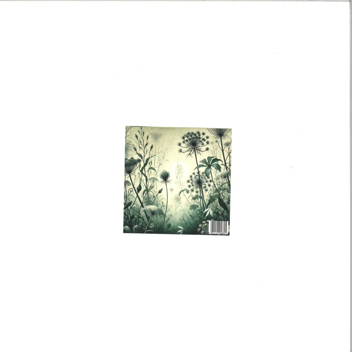 Devianza — Le Piante di Elena