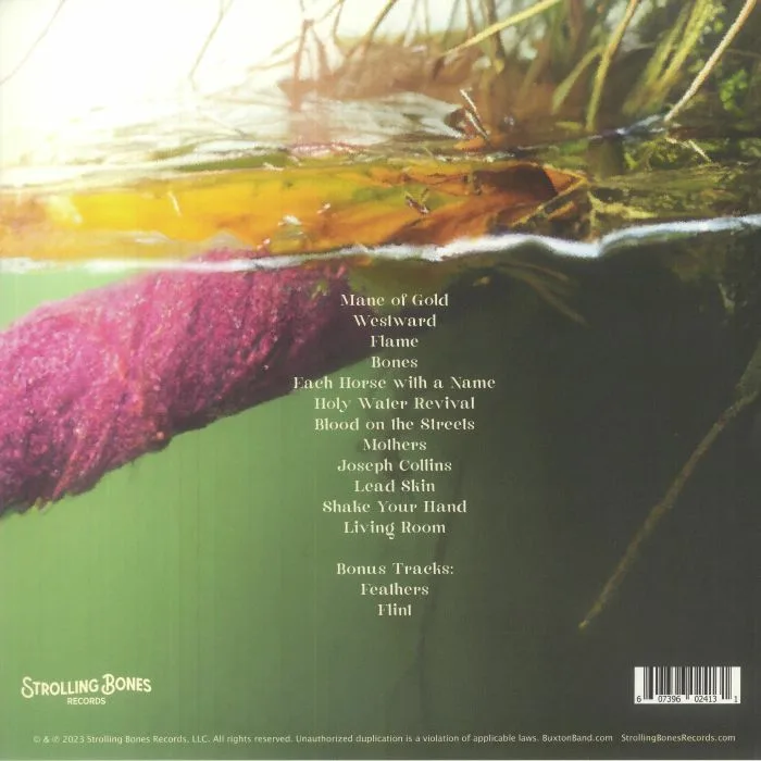 Back cover — BUXTON — A Family Light (15th Anniversary Edition)