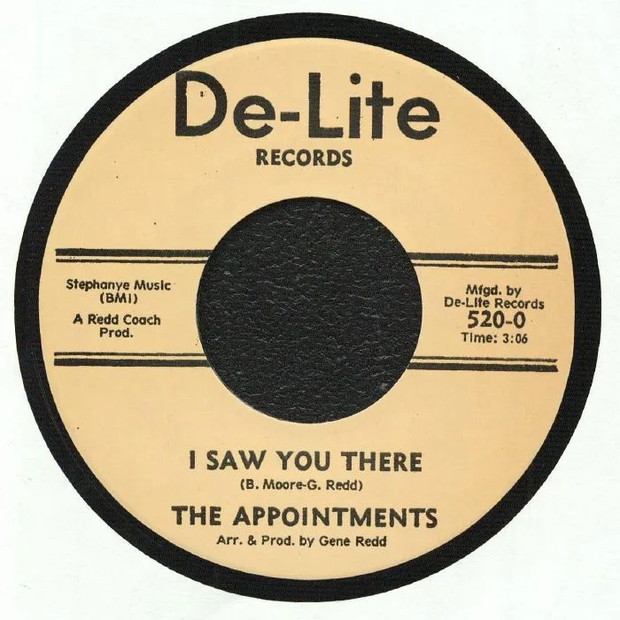 The APPOINTMENTS — I Saw You There