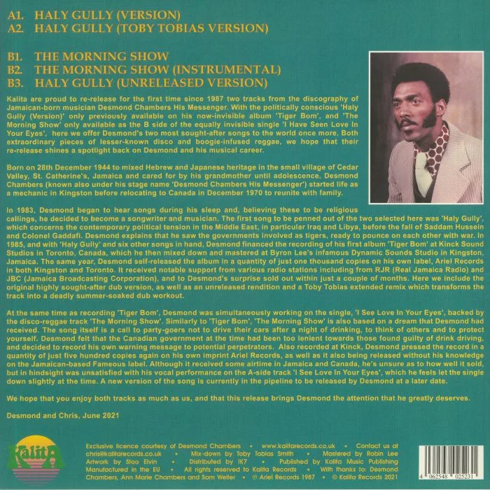 Обратная сторона обложки — Desmond CHAMBERS — Haly Gully