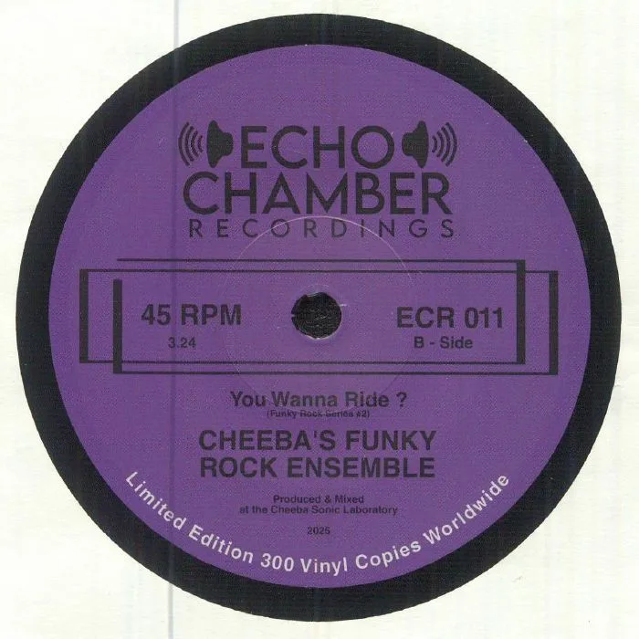 Обратная сторона обложки — CHEEBA'S FUNKY ROCK ENSEMBLE — Drug Crazed London Hippies