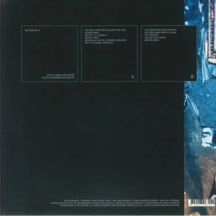 Back cover — DET ENDA BL A — Som Att Borja Ga Nedfor I En Stillastaende Rulltrappa