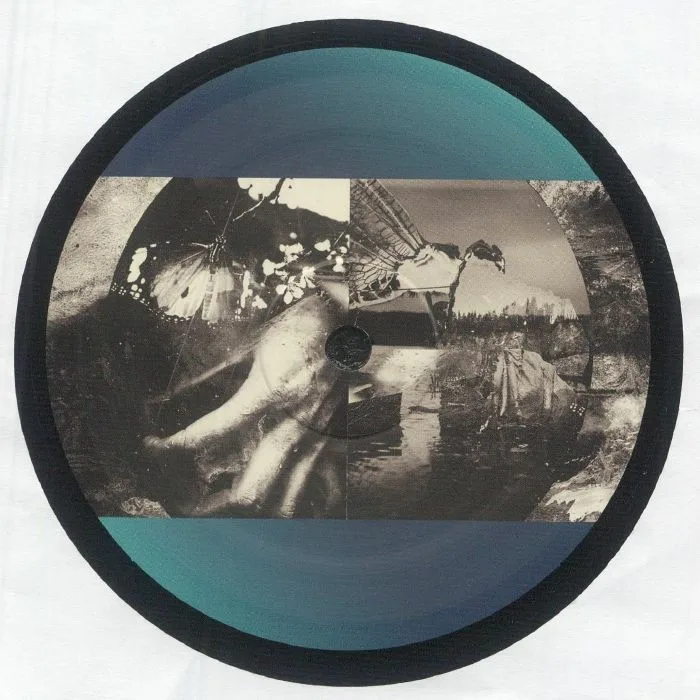 Back cover — TEMUDO / RICARDO GARDUNA / CASUAL TREATMENT / FRESKO — Horizons Sampler: One