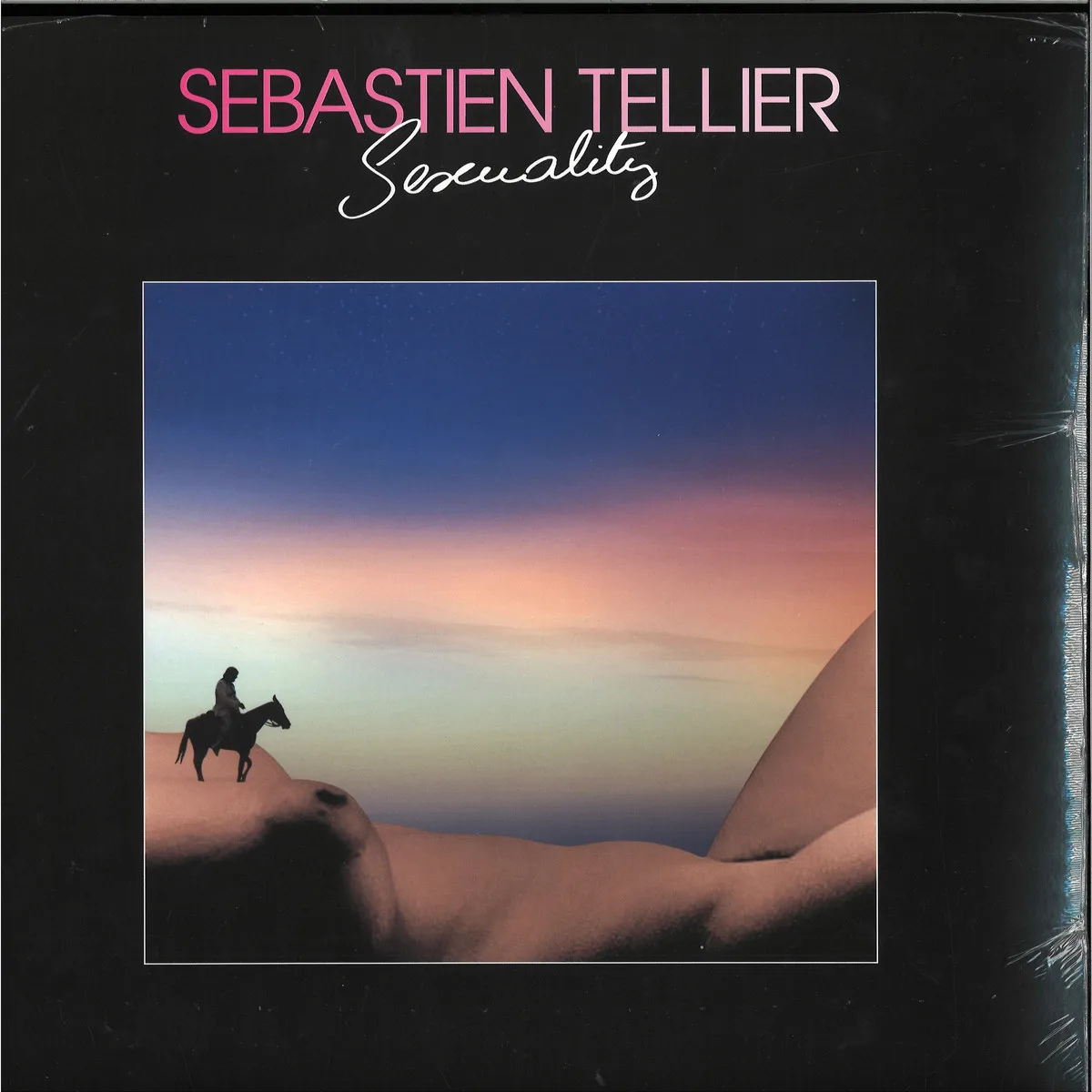 Sebastien Tellier — Sexuality
