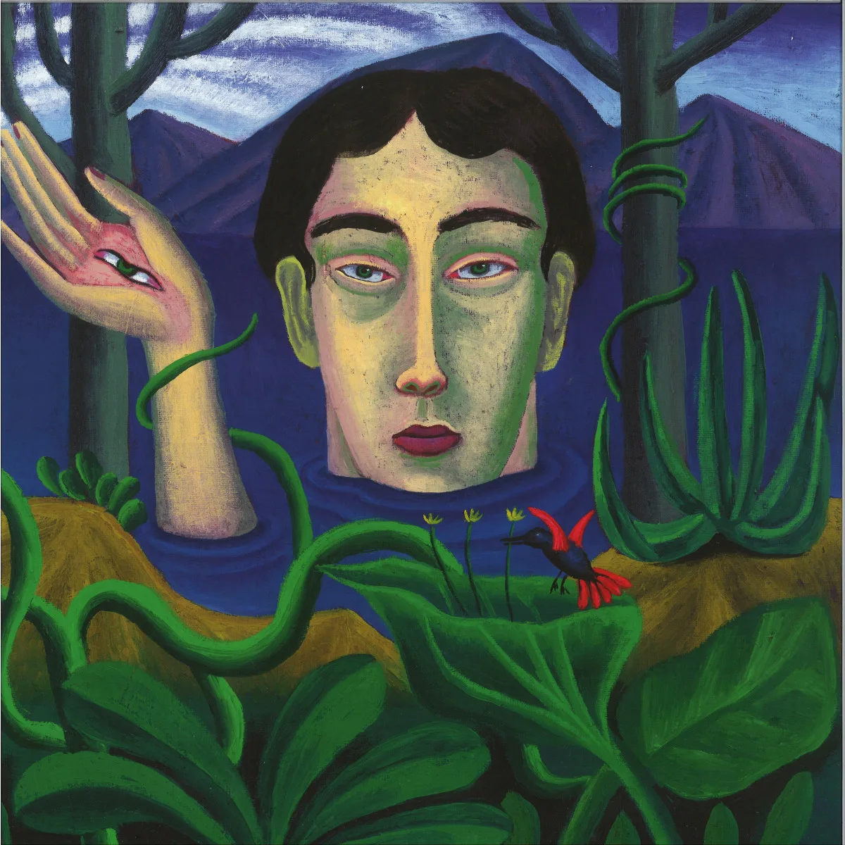 Misha Sultan — THE RED FERN ROAD LP