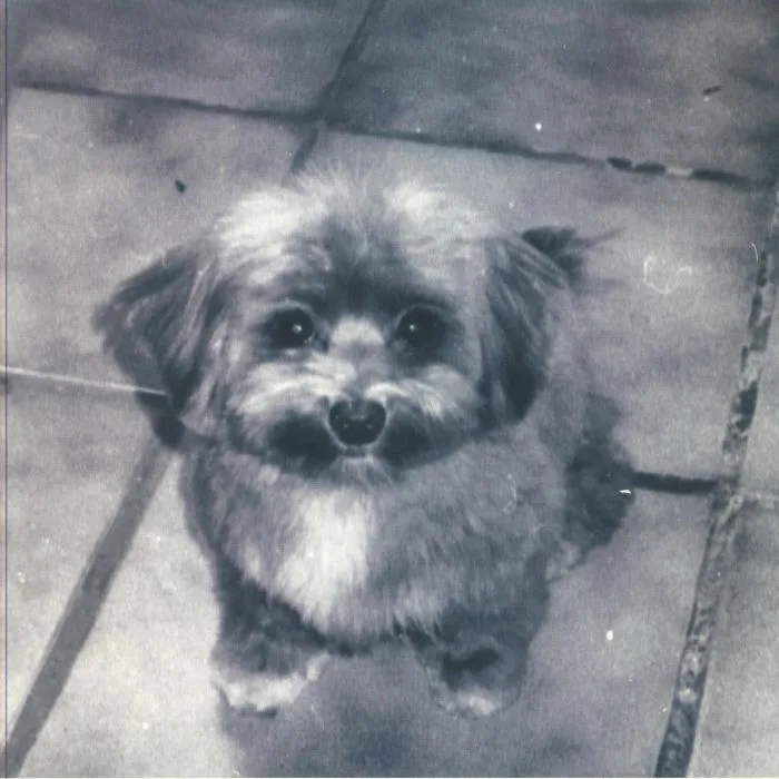 SUWI — Playing For Oscar