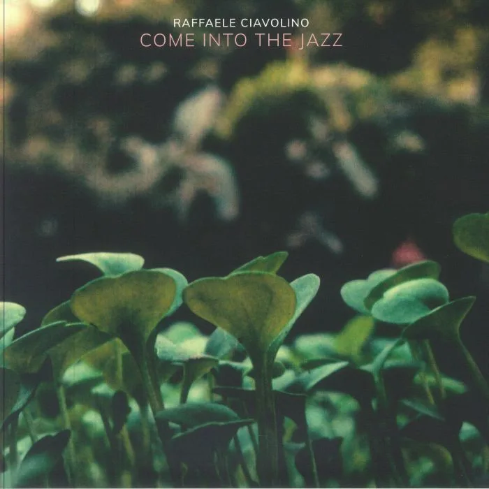 Лицевая сторона обложки — Raffaele CIAVOLINO — Come Into The Jazz