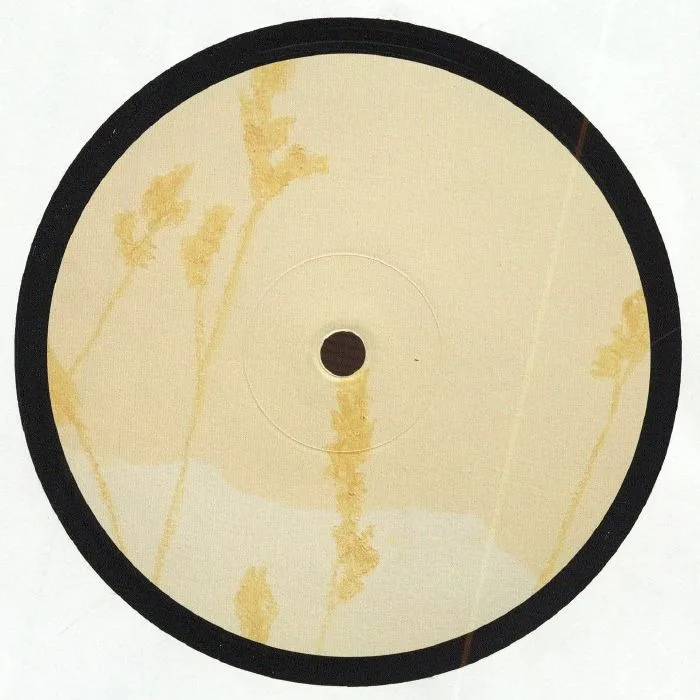 Back cover — ADHEMAR — Mountain View