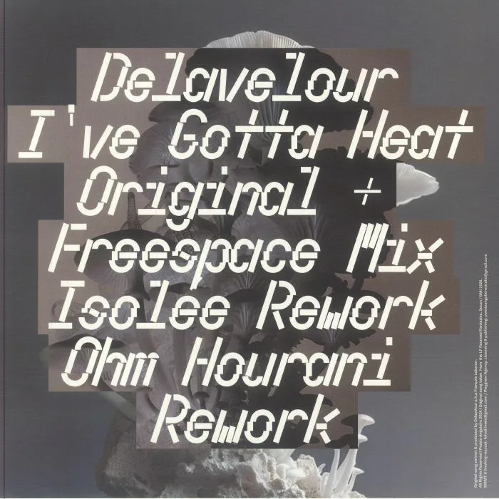 Back cover — DELAVELOUR — I've Gotta Heat (remixes)