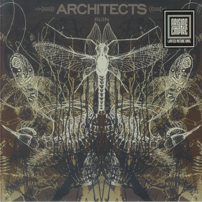 ARCHITECTS — Ruin (reissue)