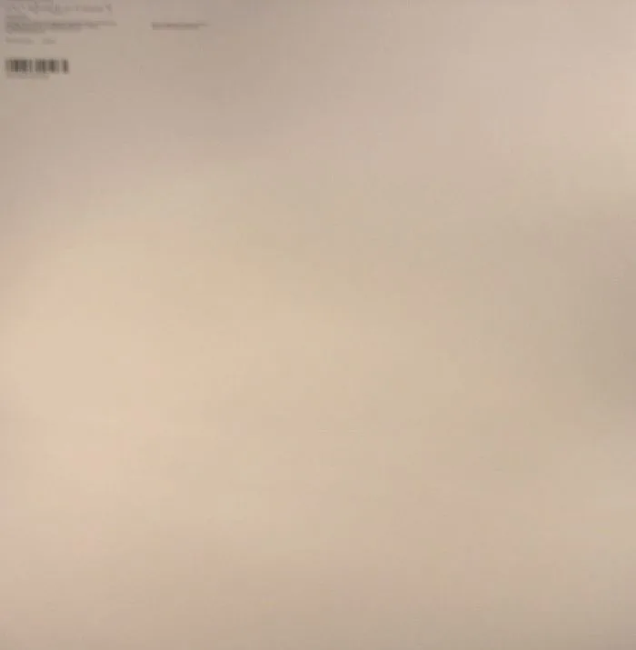 Back cover — APHEX TWIN — Windowlicker