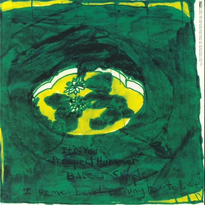 Back cover — ANIMAL COLLECTIVE — Prospect Hummer EP