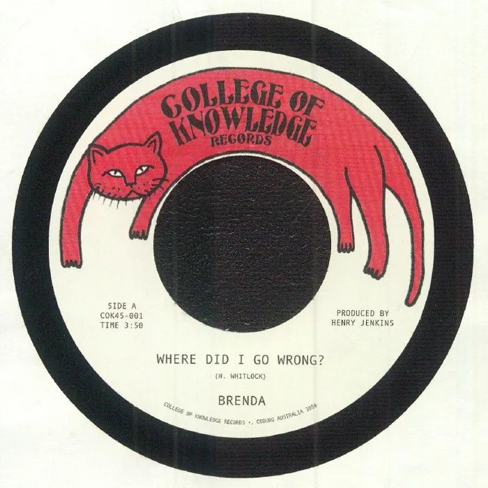 Front cover — BRENDA — Where Did I Go Wrong?