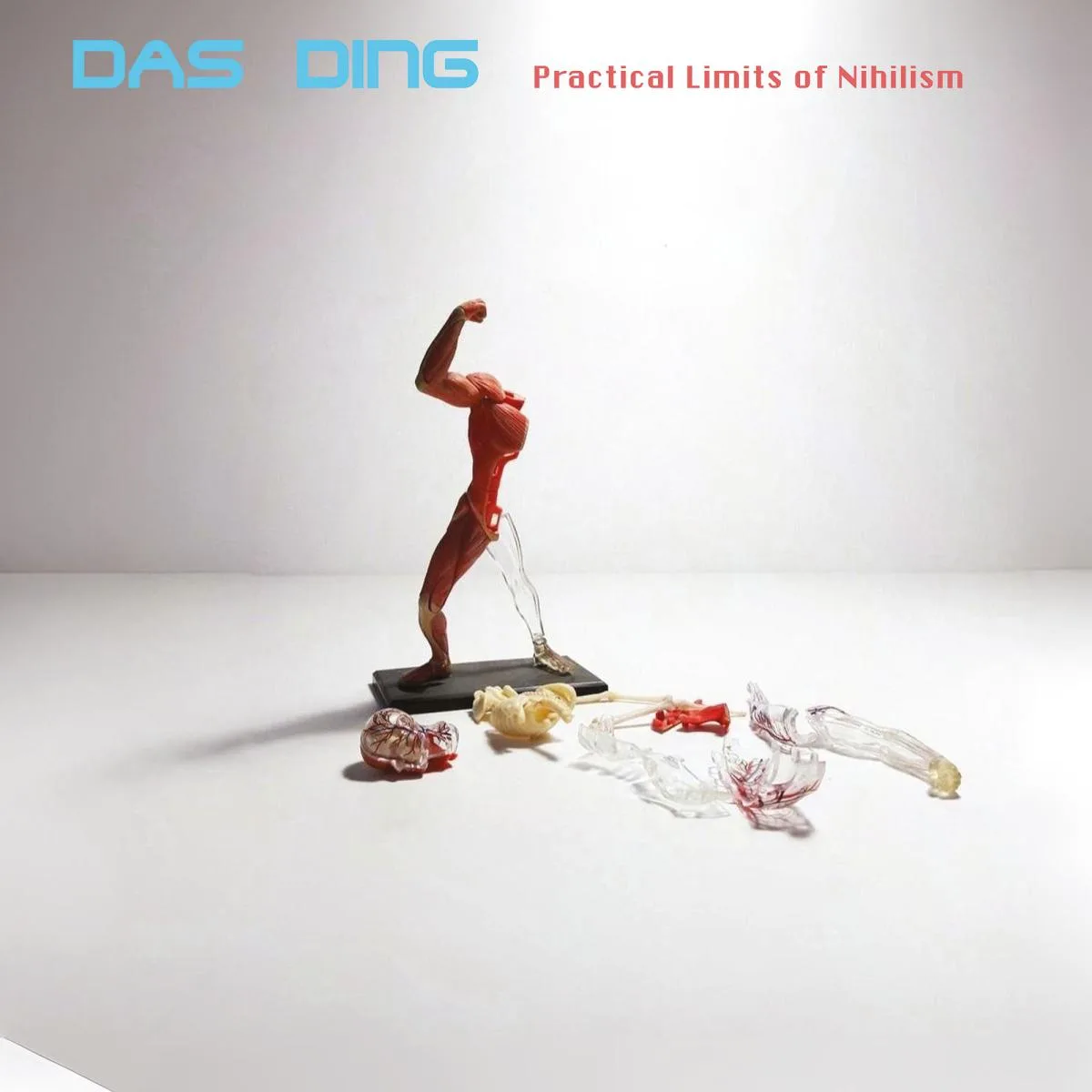 Das Ding — Practical Limits of Nihilism LP 2x12"