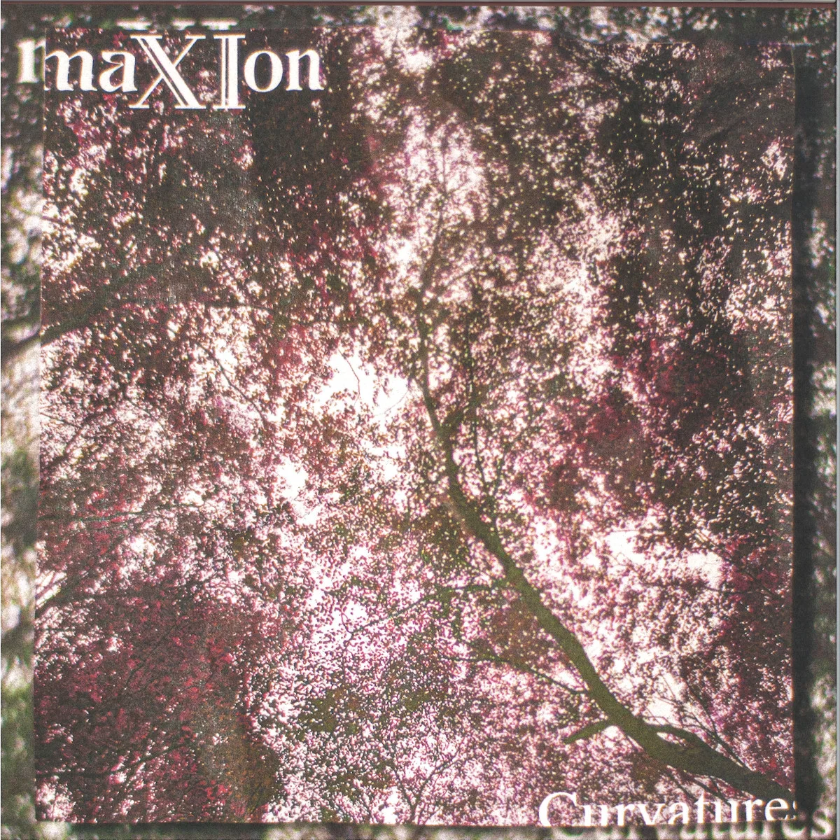 Back cover — Maxion — Curvatures LP