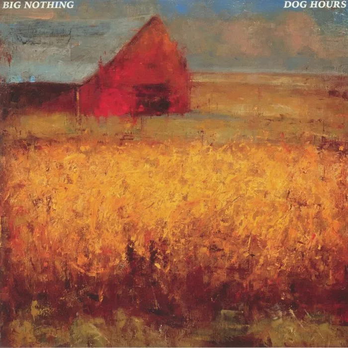 BIG NOTHING — Dog Hours