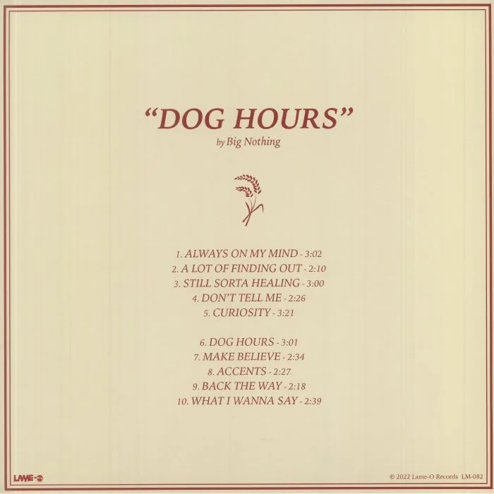 Back cover — BIG NOTHING — Dog Hours