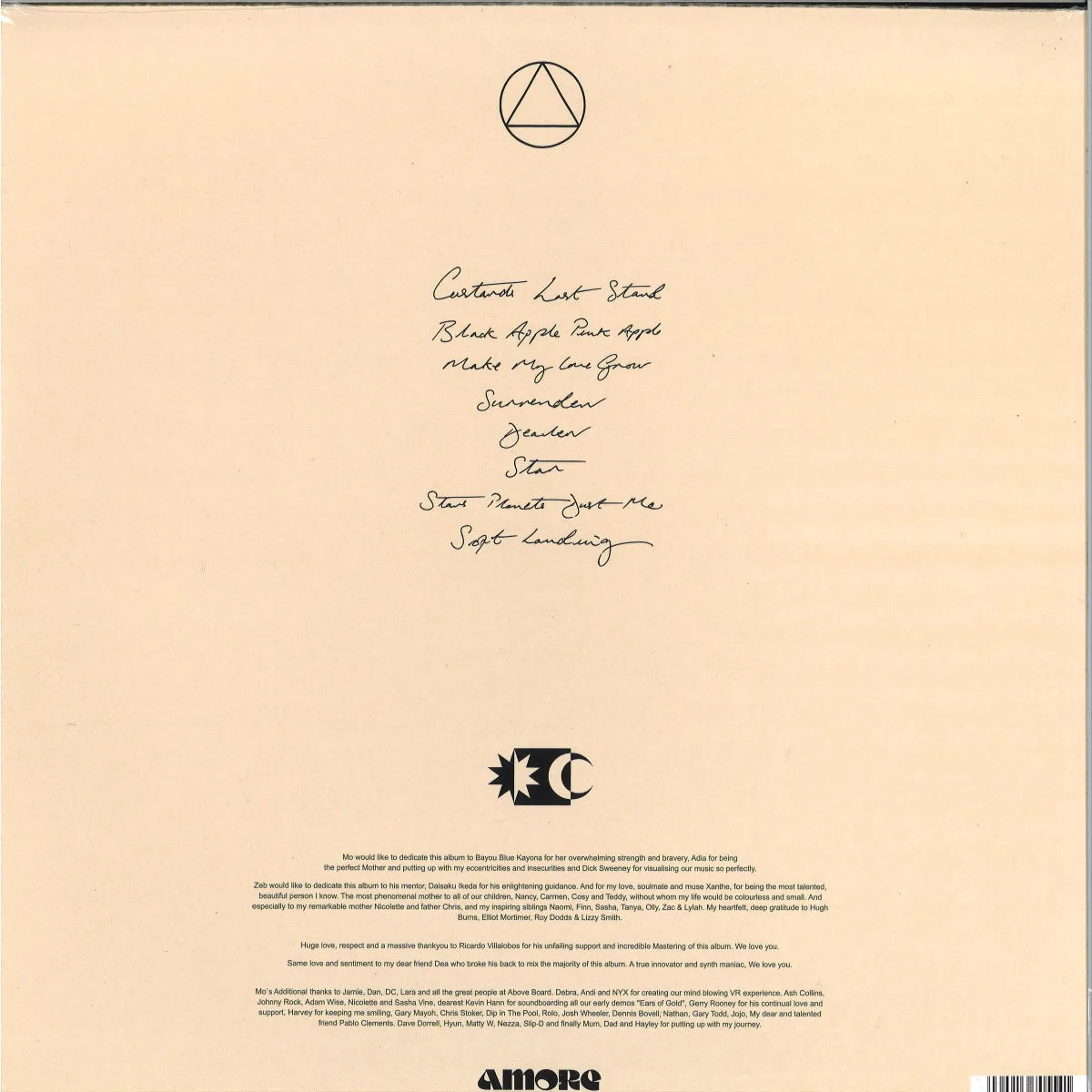 Обратная сторона обложки — A Mountain Of One — Stars Planets Dust Me LP (2x12")