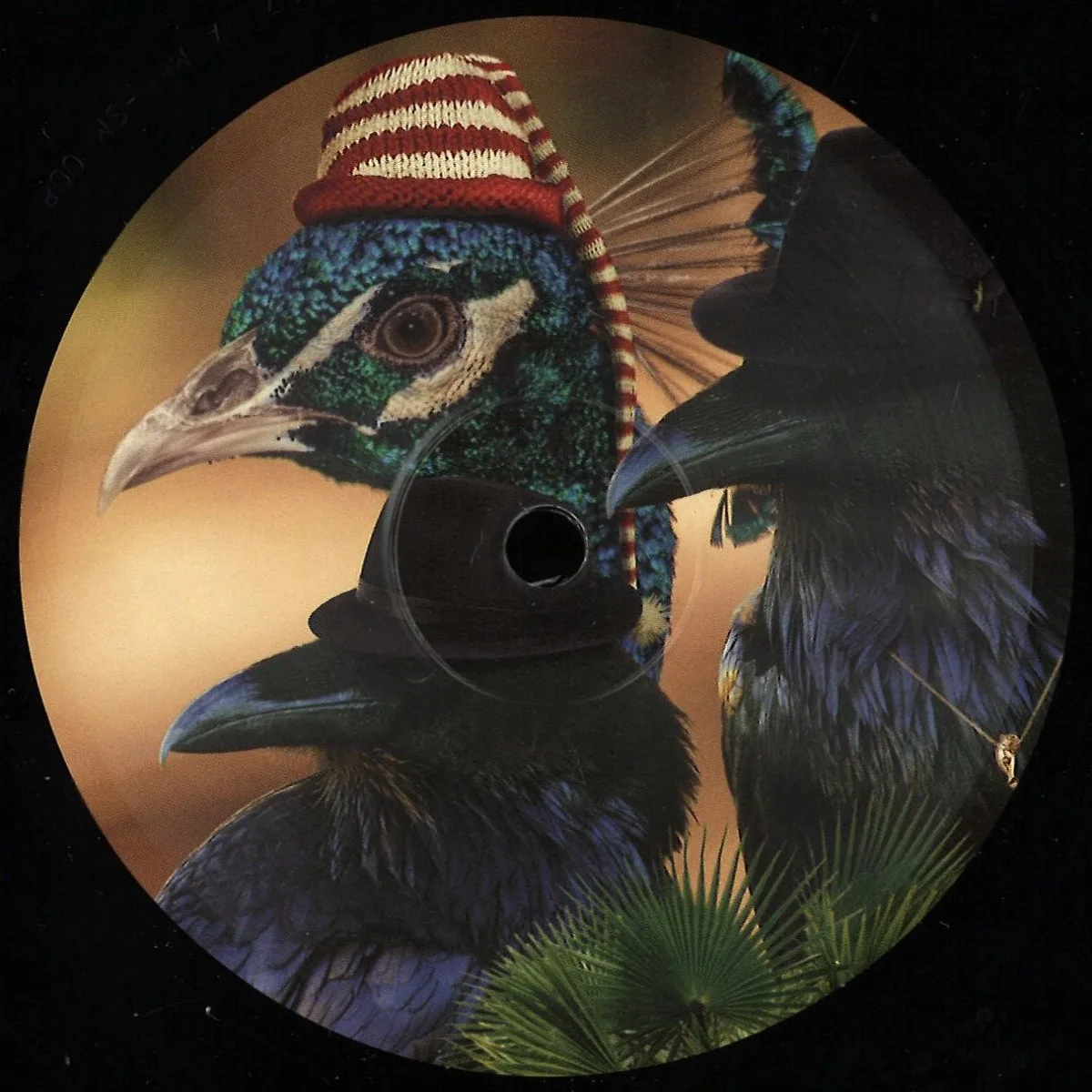 Tom Ries/Birdsmakingmachine — Bird Gang