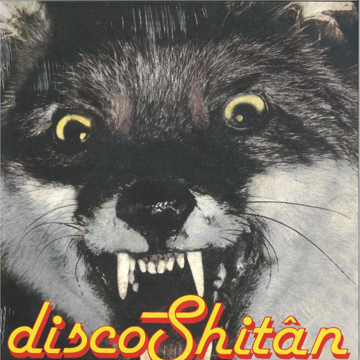 Лицевая сторона обложки — Shitan — Disco Shitan EP