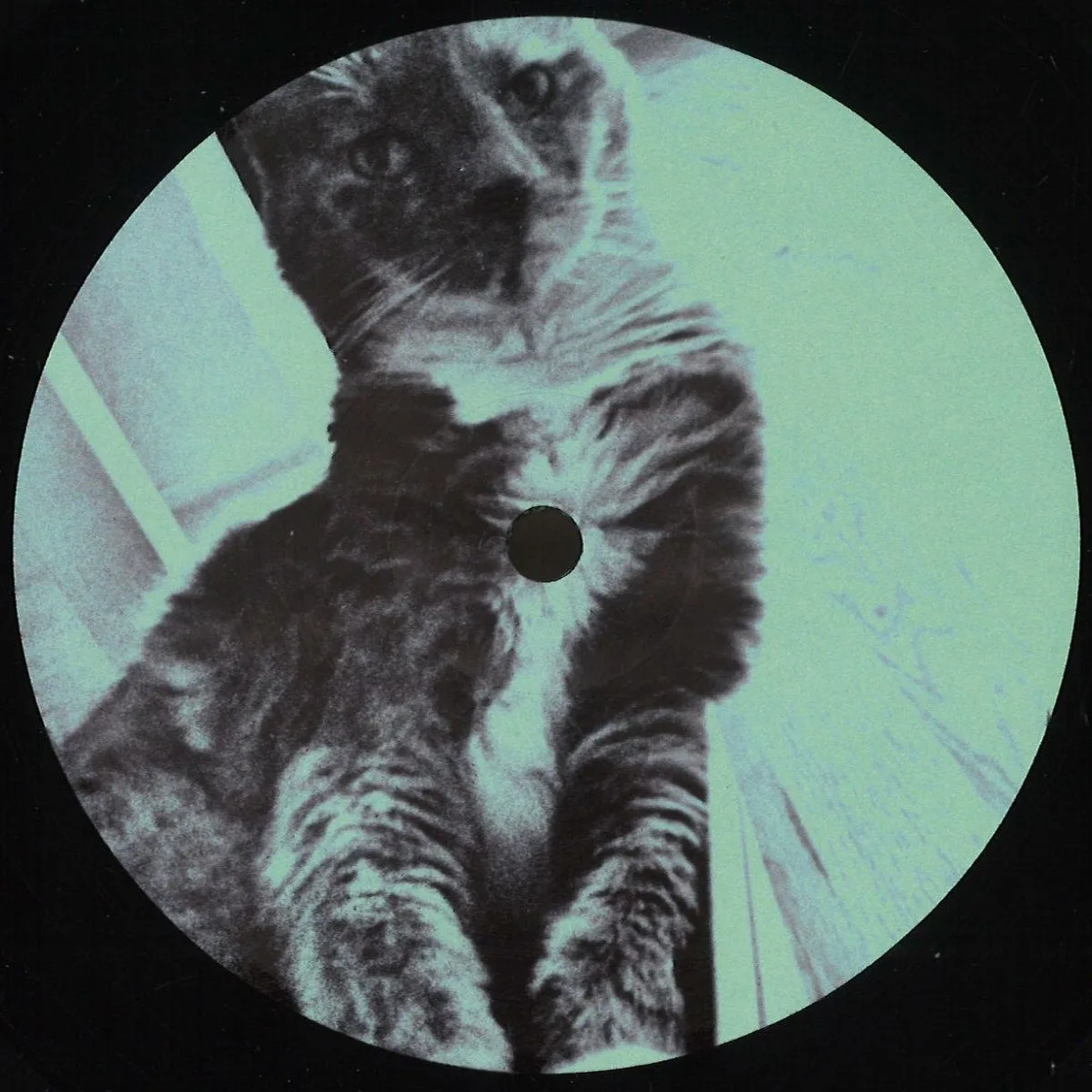 Front cover — Mystical Disco — 8.5
