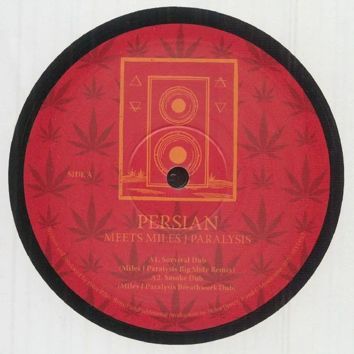 Front cover — PERSIAN meets MILES J PARALYSIS — Persian Meets Miles J Paralysis