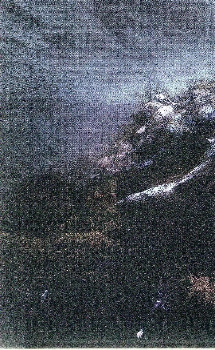 ASHNIKKO — Weedkiller