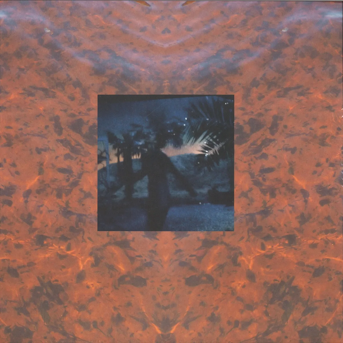 Constantijn Lange — Elysian Fields