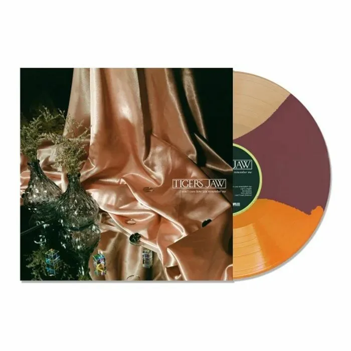 TIGERS JAW — I Won't Care How You Remember Me