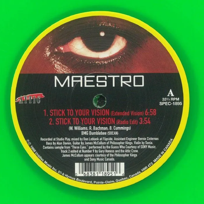 MAESTRO — Stick To Your Vision