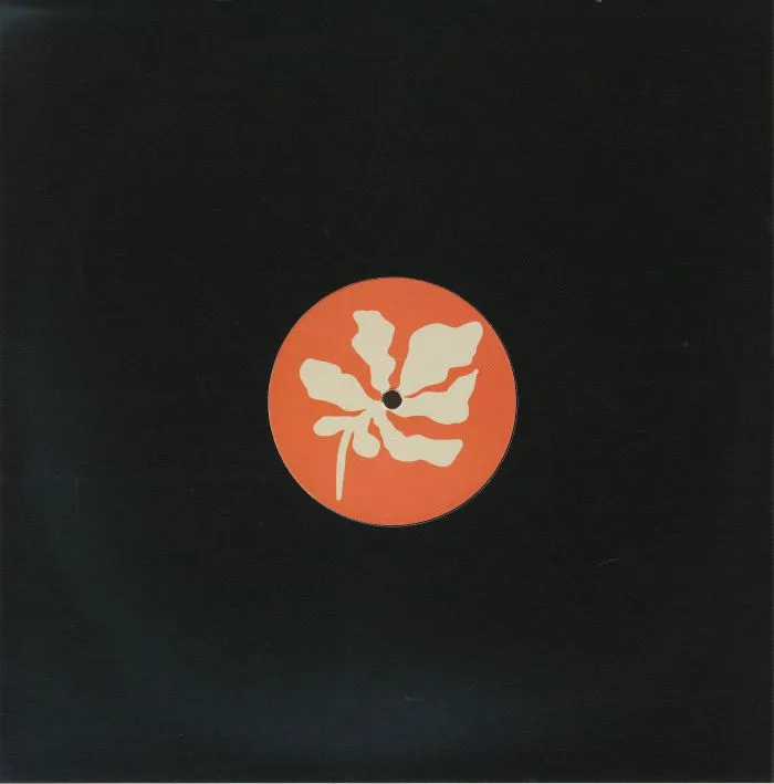 Back cover — Gojnea76 — More Is Less EP