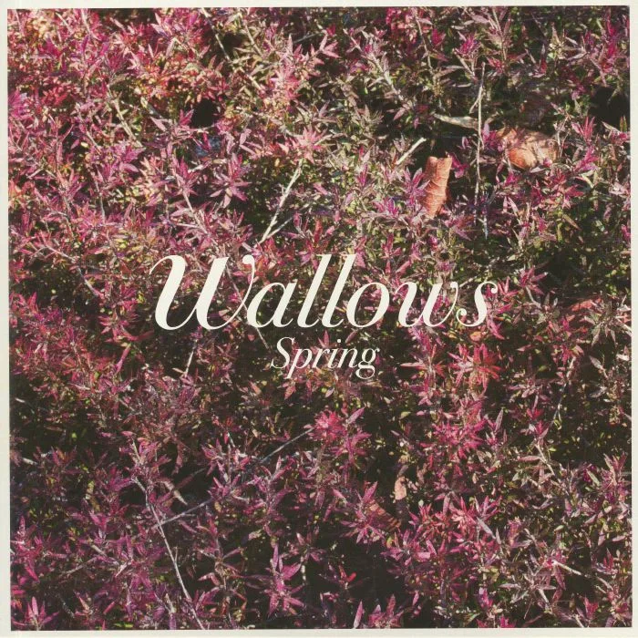 WALLOWS — Spring